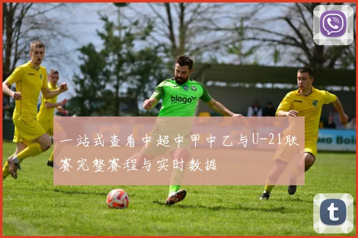 一站式查看中超中甲中乙与U-21联赛完整赛程与实时数据