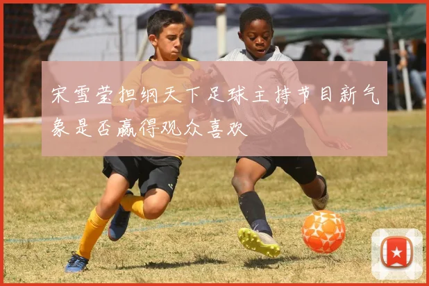 宋雪莹担纲天下足球主持节目新气象是否赢得观众喜欢